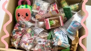 Unboxing Sylvanian Families haul 📦 (no music)