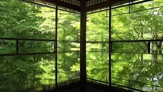 【4K】新緑の京都(2017/4/28・5/3・5/5)