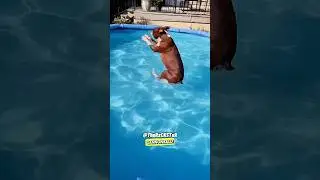 Когда понимаешь, что лето почти закончилось! RxCKSTxR Комедийный закадровый голос
