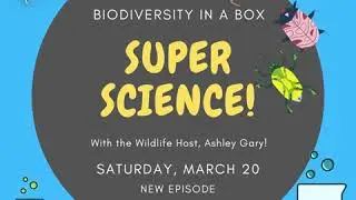Super Science: Biodiversity in a Box