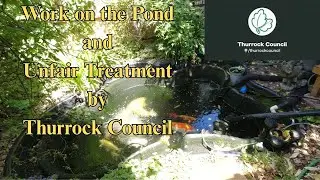 Work on the Pond and a moan about Thurrock Council #thurrockcouncil #reform