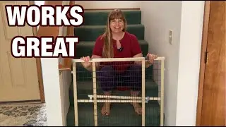 MyPet Gate в Северных Штатах
