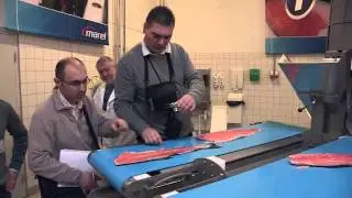 Salmon Showhow 2013