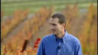 Video Production for PBS' Culinary Travels - Roederer Estate in California