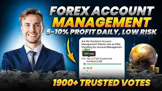 Forex Trading Account Management Service  DAILY 5 To 10% Profit With Low RISK  MFC Insider