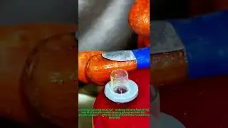 How to Safely Milk Scorpion Venom at Home: A Beginner&rsquo;s Guide to Farming & Extraction