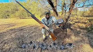 Cacería de PALOMAS con ESCOPETA Beretta Calibre 20