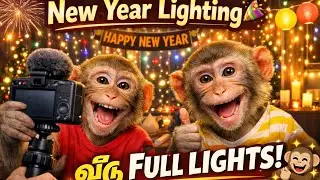 Two Monkeys New Year Celebration 🐒✨ | Home Lighting Setup Vlog Tamil