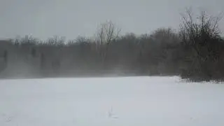 snow blowing through my back field