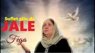 Sora Fega - Suflet plin de jale