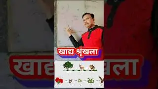 #खाद्य श्रृंखला 😯 #food chain #video #viral #education #school #science #style #history