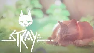 Stray gameplay pc with joystick : This Was Unexpected!! 😞