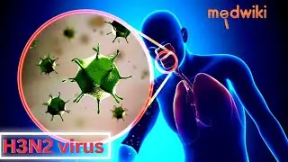 How does the Influenza A subtype H3N2 virus spread and infect our body?