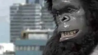 SPOT BEMBOS KING KONG
