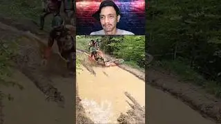 TRY NOT TO LAUGH Part 41 🤣🤣 #funny #funnyvideos