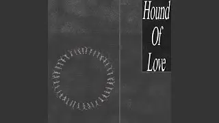 Hound Of Love