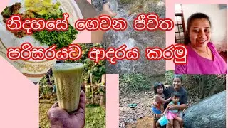 ගමේ තාලෙට මගේ ගෙදර දවසක්  A Day of village Iife