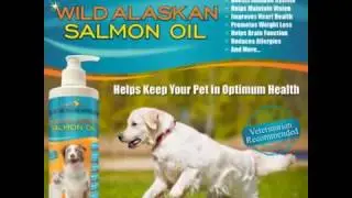 Premium Wild Alaskan Salmon Oil for Dogs and Cats by TerraMax Pro