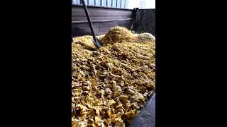 Turnkey Flake Feed Mill Plants | Flaking Mill Facilities | Flake Feed Production Lines | Flaker Mill