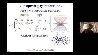 CNQM2021: Erez Berg - New physics in flat moir&eacute; bands