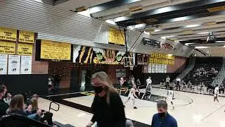 Nikko Pentelute Highlights  vs Casteel Colts. 1/22/2021