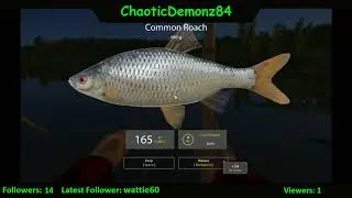 (ENG) Russian Fishing 4 Lets Play