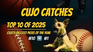 Cujo&rsquo;s Top 10 of 2025 | Best Picks Across Sports 🐕 2025 Year in Review