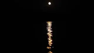 Full Moon Above Water With Clouds Video Footage