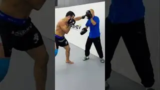 Boxing combos for MMA fighters #boxing #mmaboxing #shorts