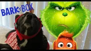 BARKBOX UNBOXING! November 2018 | THE GRINCH THEMED