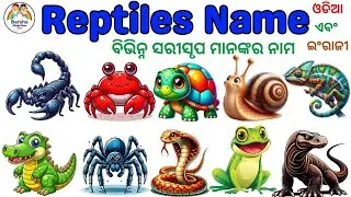 Reptiles name | Reptiles Name Odia to English | Reptiles Name for Kids | ବିଭିନ୍ନ ସରୀସୃପ ମାନଙ୍କର ନାମ