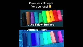 Color loss at depth. Very curious! TikTok