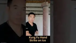 Kung Fu Hand Strike on Ice 👀💥👊 Martial Arts  #shorts