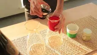 Чаевар Eva Solo и чай Гёкуро - интеллектуальный тандем