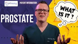 Understanding Your PROSTATE: What Every Man Should Know