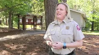 Beth Plummer District Forester NCFS District 12
