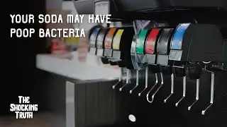 Do soda fountains contain fecal bacteria? #health #soda