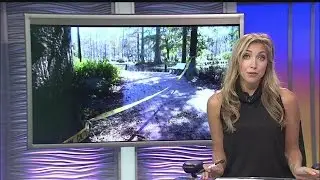 Cypress Gardens Closed Indefinitely