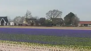 Sassenheim, Lisse, 1-4-2024