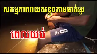 សកម្មភាពរាយសន្ទួចតាមមាត់អូរពេលយប់ - Night Fishing Secrets That Nobody Talks About!