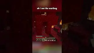 IT'S THE NETHER | Minecraft #shorts