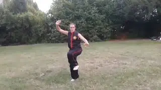Kung fu Choy Li Fut : forme a mano nuda.