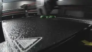 Turtle 3D Print