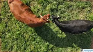 Aerial Video - The Farm, Clapton, Somerset (DRONE CINEMATOGRAPHY)