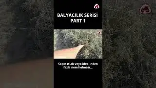 Balyacılığın Anlatılmayan Y&ouml;nleri - Part 1 #short #shorts #trakkulup