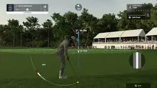 chip in for bird!! #tiger2k23