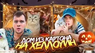 24 ЧАСА СТРОИМ КАРТОННЫЕ ДОМА ПИТОМЦАМ НА ХЭЛЛОУИН | КЕВИН vs БИЛЮШКА
