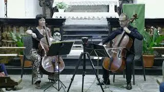 M. TESTORI & S. COSMO: J.J.F. Dotzauer/ Var. per due v.celli su 