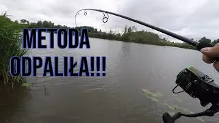 Metoda odpaliła!!! Test Mikado Katsudo Slim Distance Feeder😀