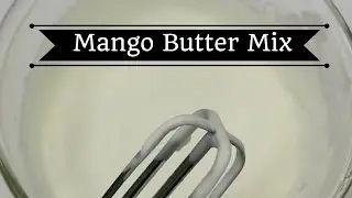Easy DIY Mango Butter For Hair and Skin | Vlogmas Day 12 | HonestlyErica